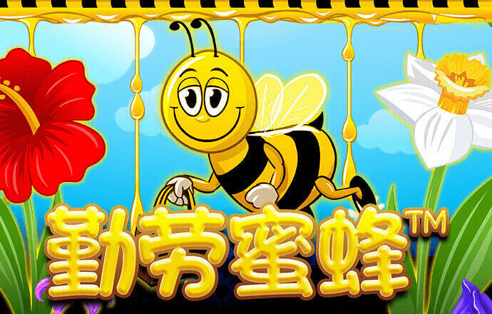杏运体育登录